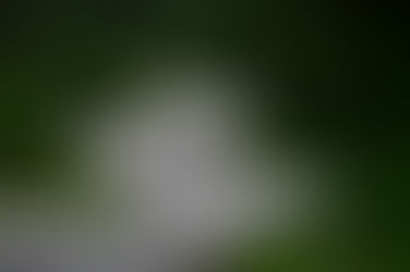 New Motorcycle Tours in Thailand