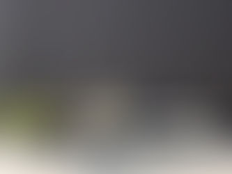 毎日の器 11月2日から