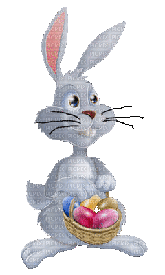 bunny.gif