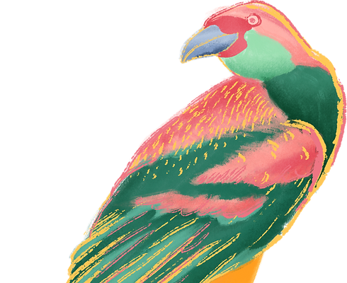 Colorful%20Bird_edited.png