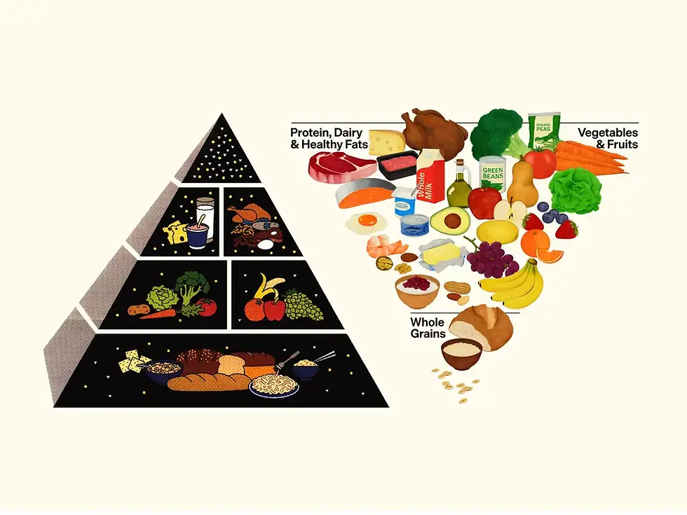 Understanding the Food Guide Pyramid: Then and Now