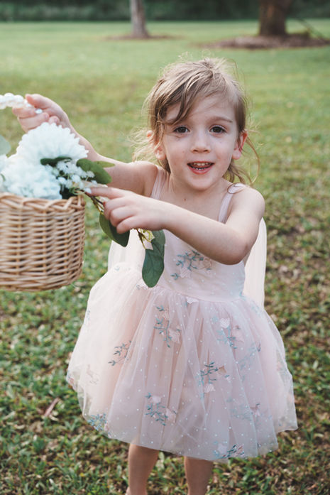 Wedding at a local park