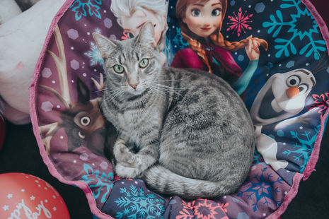 At-home family session: playful hands, shared stories, and small rituals that make a house feel like home.