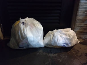 美化活動報告 2025年3月