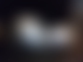 美化活動報告 2025年3月