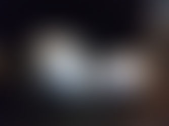 美化活動報告 2025年3月