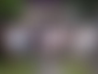 青葉台日向町会 ラジオ体操