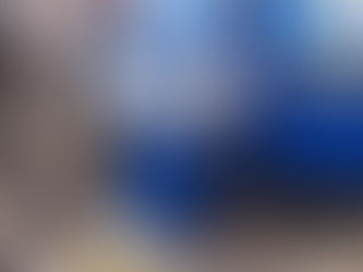 美化活動報告 2024年9月