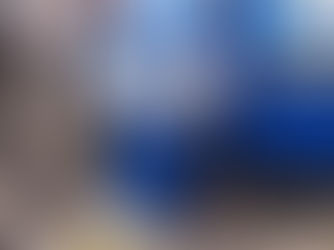 美化活動報告 2024年9月