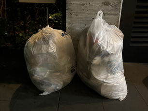 美化活動報告 2025年5月