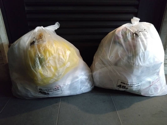 美化活動報告 2026年1月