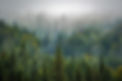trees-975091_1280.jpg