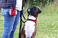 IMG_9990_edited.jpg