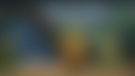 NETFLIX - LEO - DATOS CURIOSOS por LIZ GIL