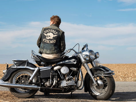 EL CLUB DE LOS VANDALOS - DATOS CURIOSOS por LIZ GIL