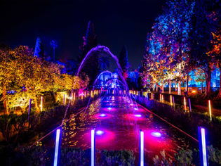 ALICIA EN EL PAIS DE LAS MARAVILLAS - PARQUE LIRA