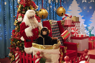 DISNEY PLUS - UNA NAVIDAD PARA C.H.U.E.C.O.