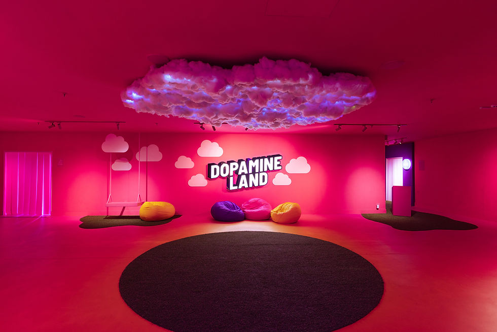 DOPAMINE LAND LLEGA A CDMX - FEVER
