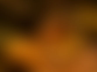 POBRES CRIATURAS - DATOS CURIOSOS por LIZ GIL