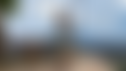 DAVID - DATOS CURIOSOS por LIZ GIL