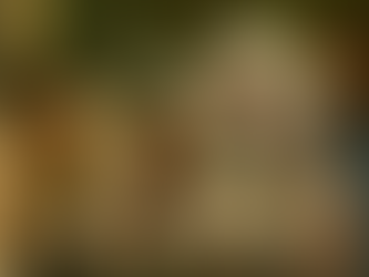 LA VOZ DE HIND RAJAB - DATOS CURIOSOS por LIZ GIL