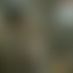 BUENA SUERTE, DIVIERTETE, NO MUERAS - DATOS CURIOSOS por LIZ GIL