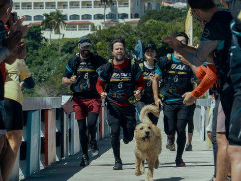 ARTHUR: UNA AMISTAD SIN LIMITES - DATOS CURIOSOS por LIZ GIL 