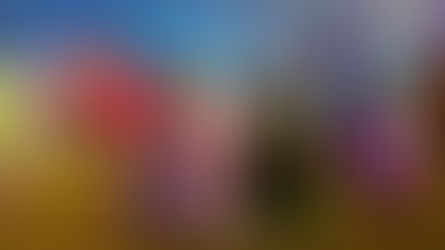 ELIO - DATOS CURIOSOS por LIZ GIL 