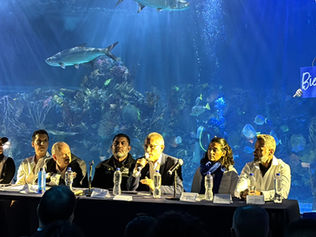 ACUARIO INBURSA - TIBURONES: LOS REYES DEL MAR - XEROX MEXICANA