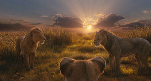 MUFASA: EL REY LEON - DATOS CURIOSOS por LIZ GIL