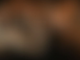 EL TESTIMONIO DE ANN LEE - DATOS CURIOSOS por LIZ GIL