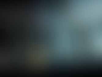 HISTORY - LAS CINCO FAMILIAS: CAPOS DE LA MAFIA