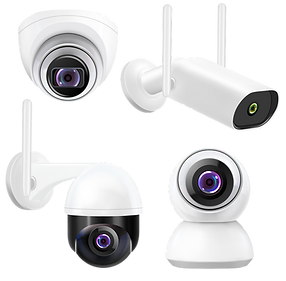 security cameras.png