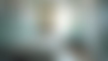 Finding the Best Chiropractor Wairau Valley: Your Guide to Holistic Health and Wellbeing