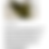 Thumbnail: Olive full circle velvet skirt