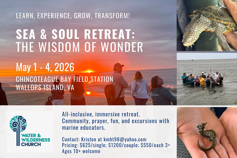 Sea and Soul Retreat