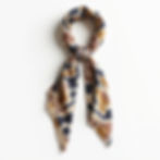 Silk Scarf Print