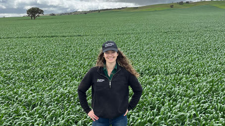 Learning the Landscape of Agronomy with Young Professional Olivia Veronese