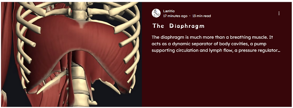 The diaphragm