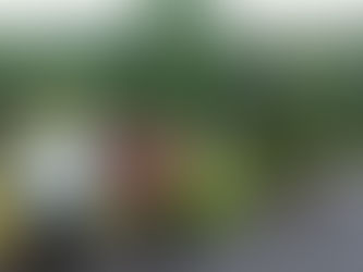 清掃活動ありがとうございました