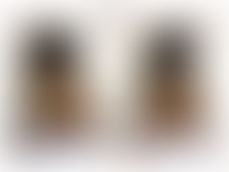 very limited special menu😍数量限定特別メニュー✨