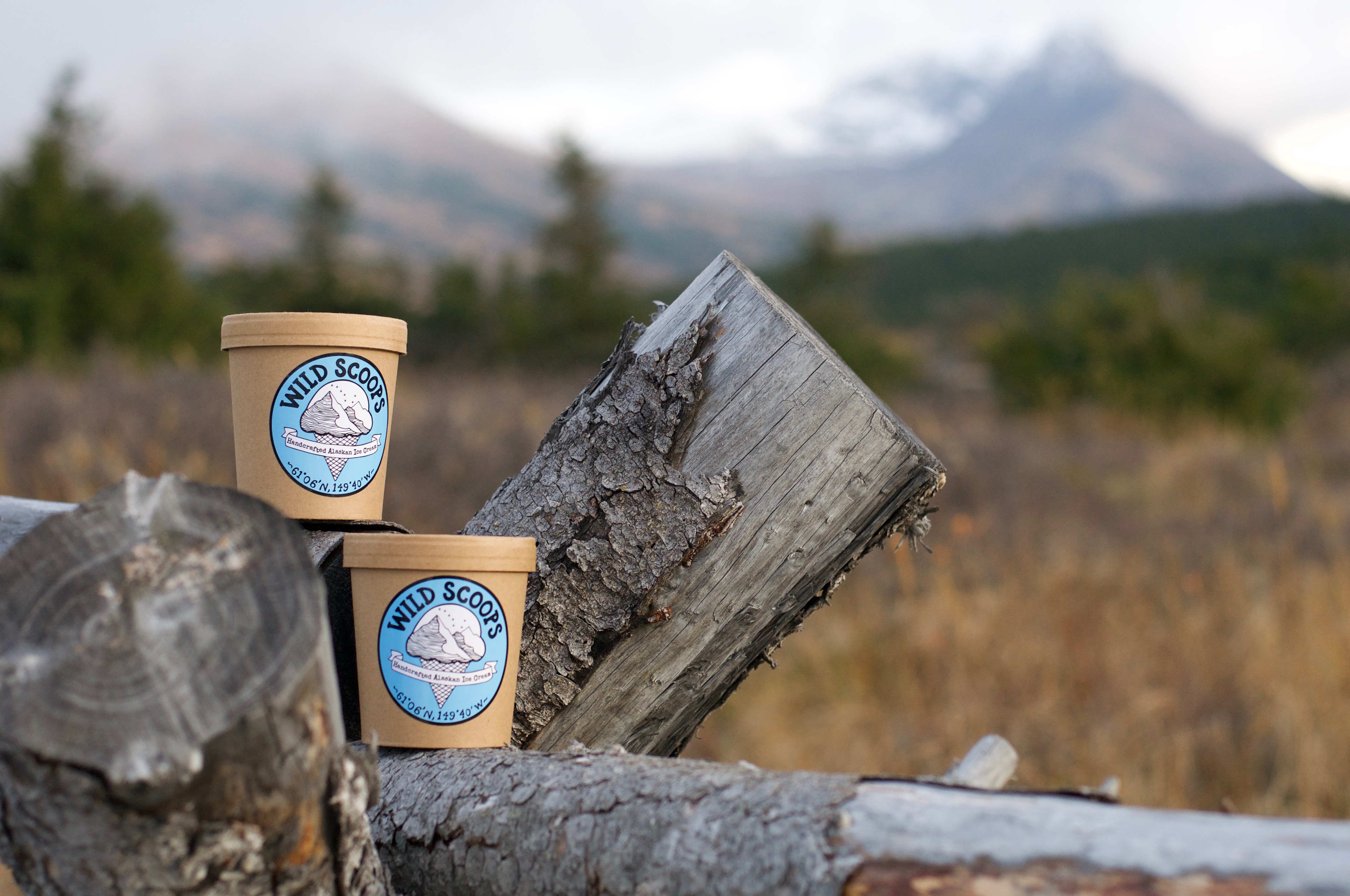 Wild Scoops Handcrafted Alaskan Ice Cream