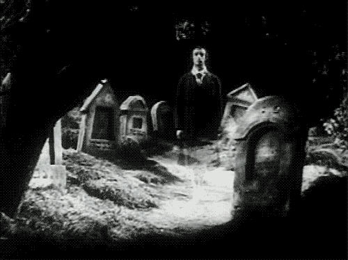 anim ghost in graveyard