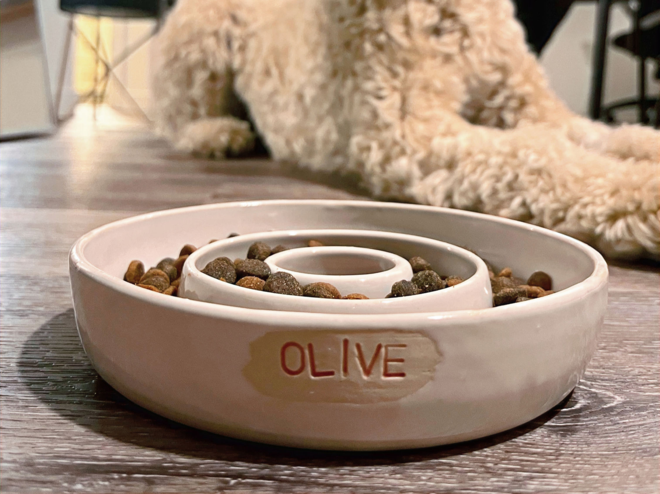 handmade ceramic dog slow feeder bowl