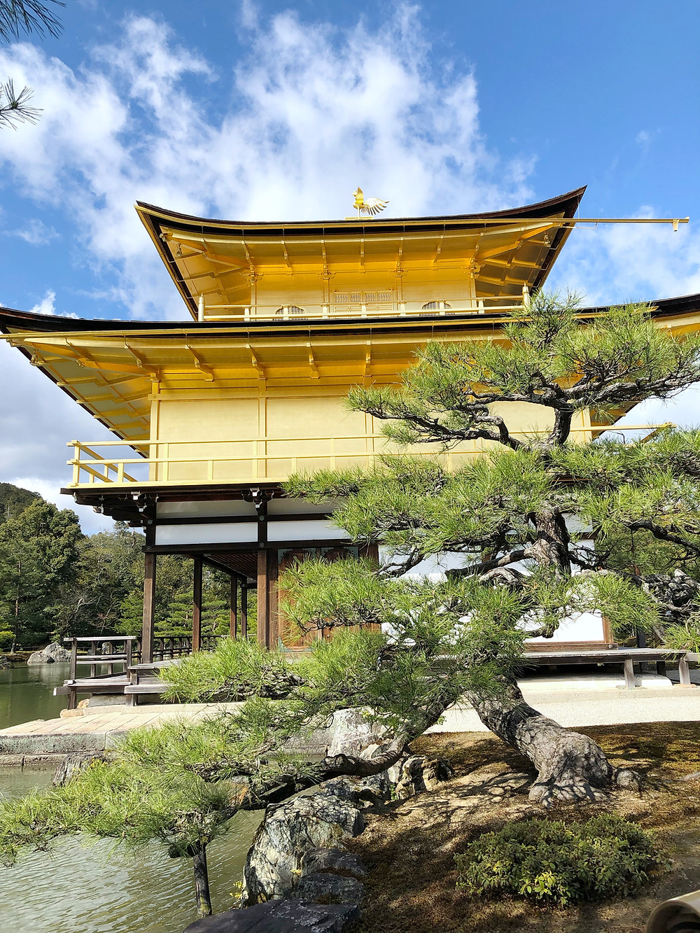 kinkakuji kyoto cookingwiththehamster