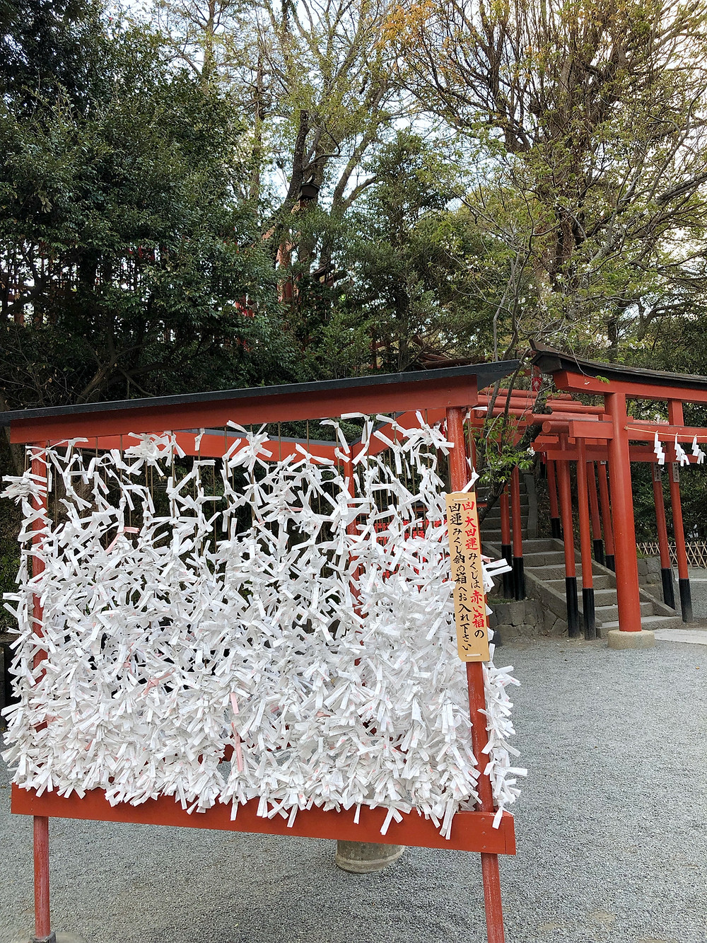 Tsurugaoka Hachimangu kamakura Cookingwiththehamster
