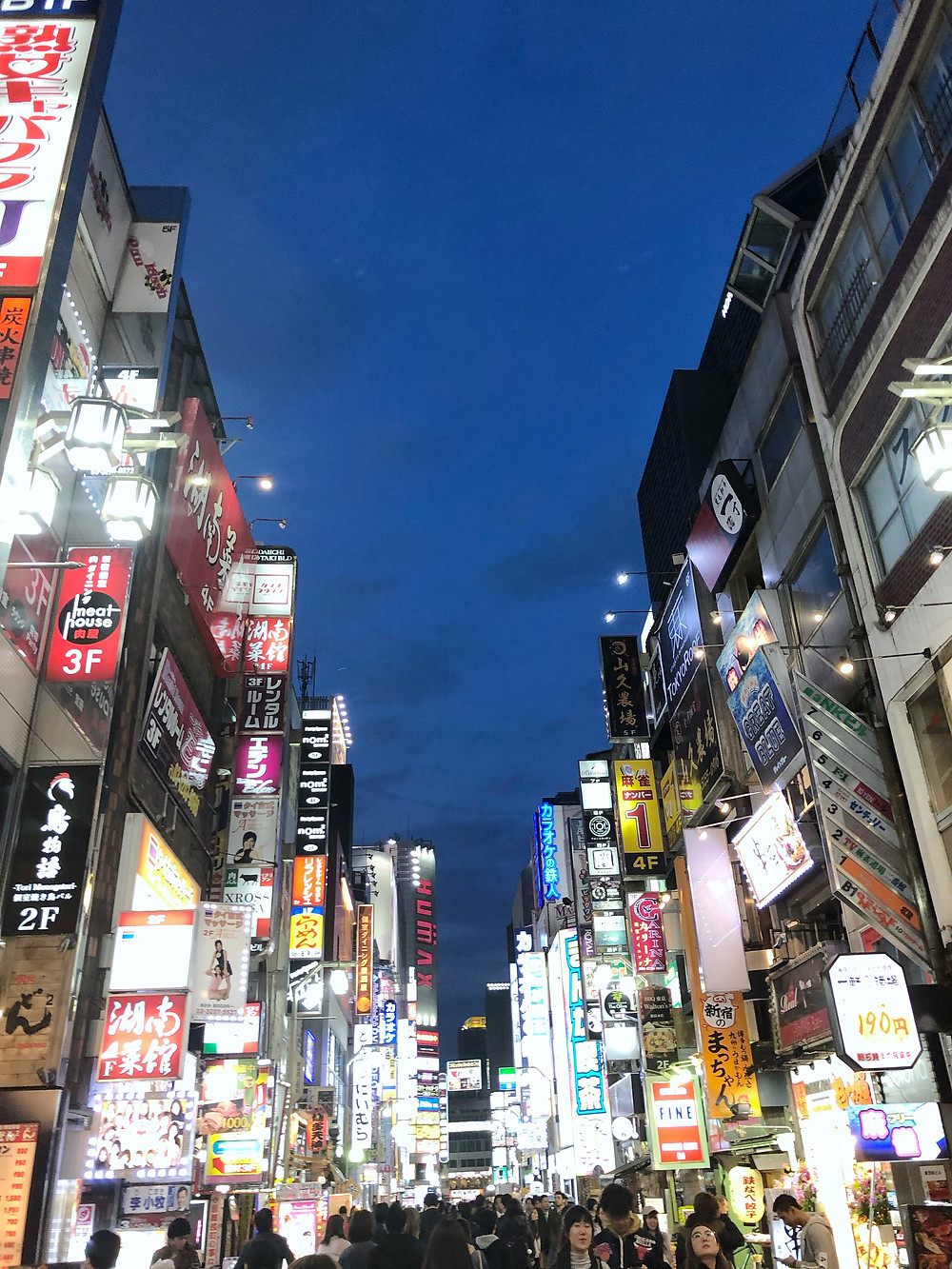 Kabukicho tokyo Cookingwiththehamster