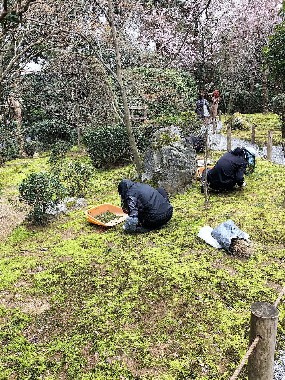rioanji kyoto cookingwiththehamster