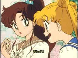 sailor moon cookingwiththehamster