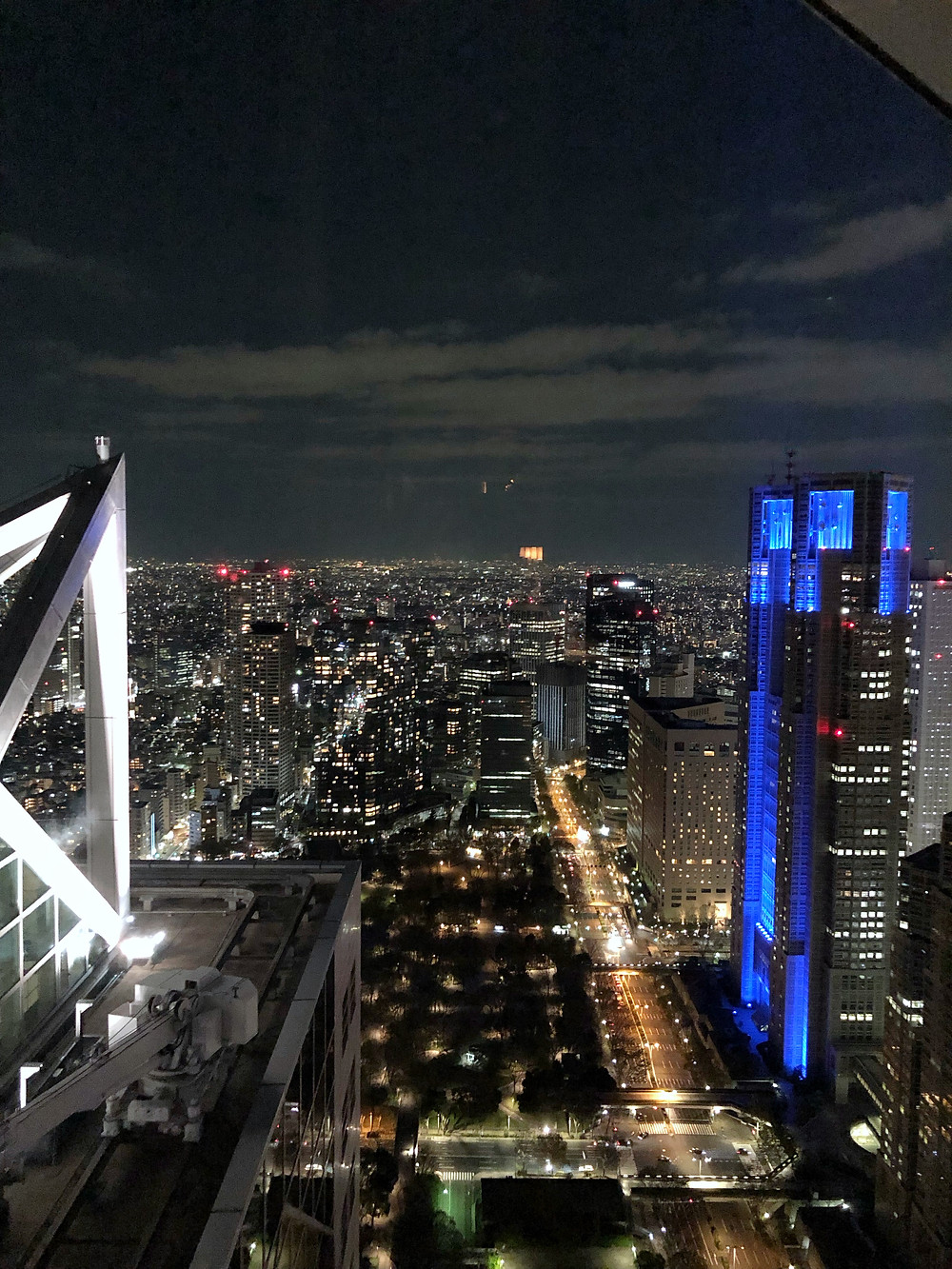Park Hyatt tokyo Cookingwiththehamster